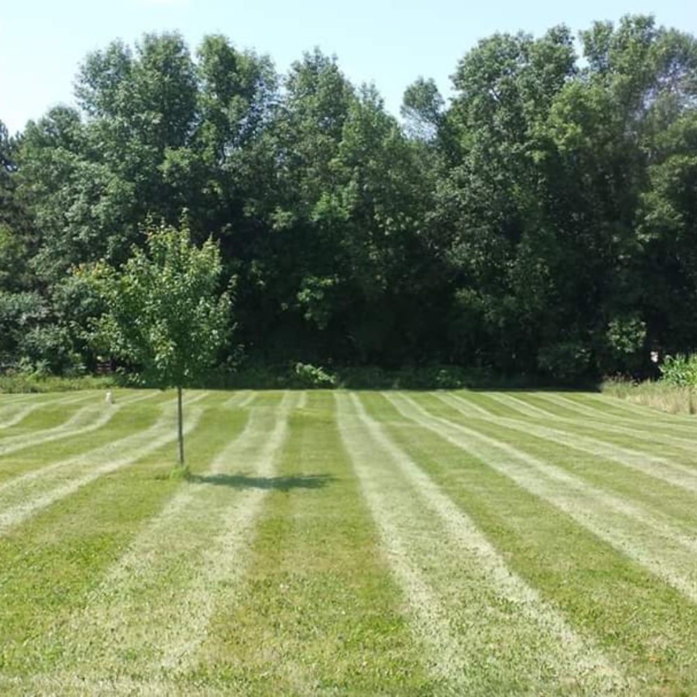 Meet your Posher, Dallas